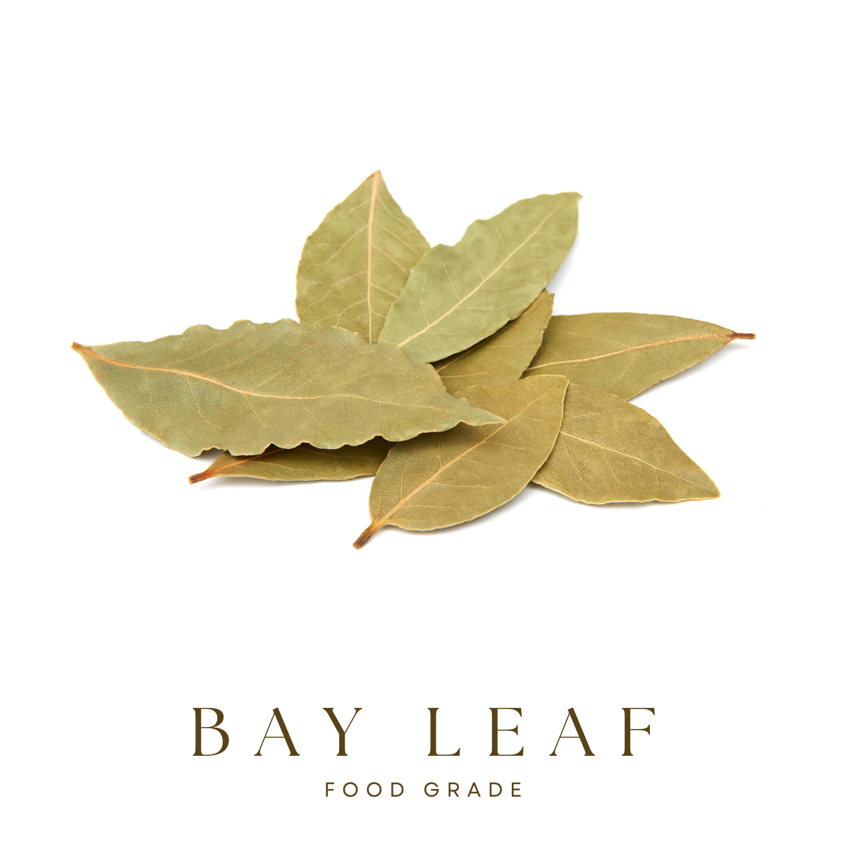 Bay Leaf