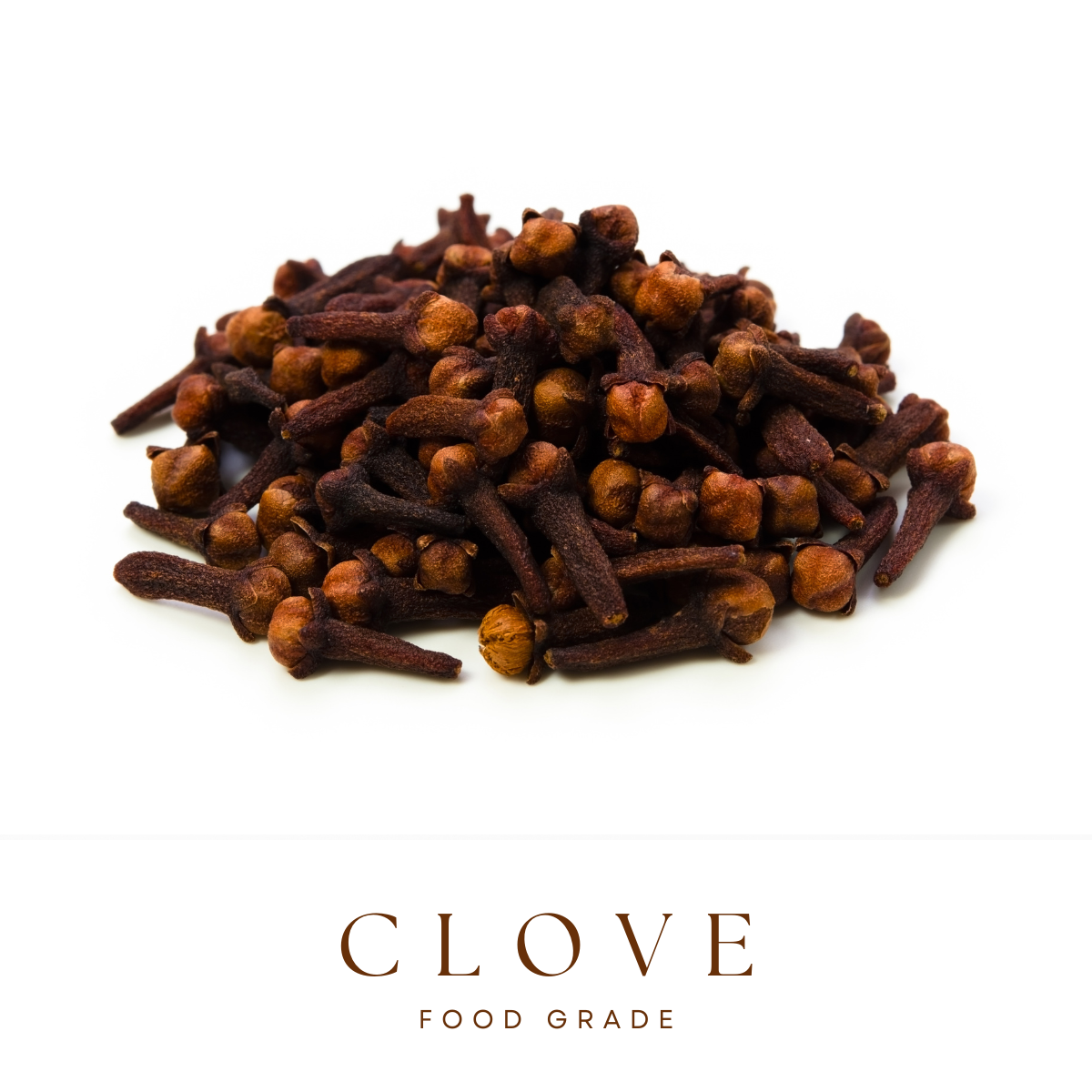 Clove