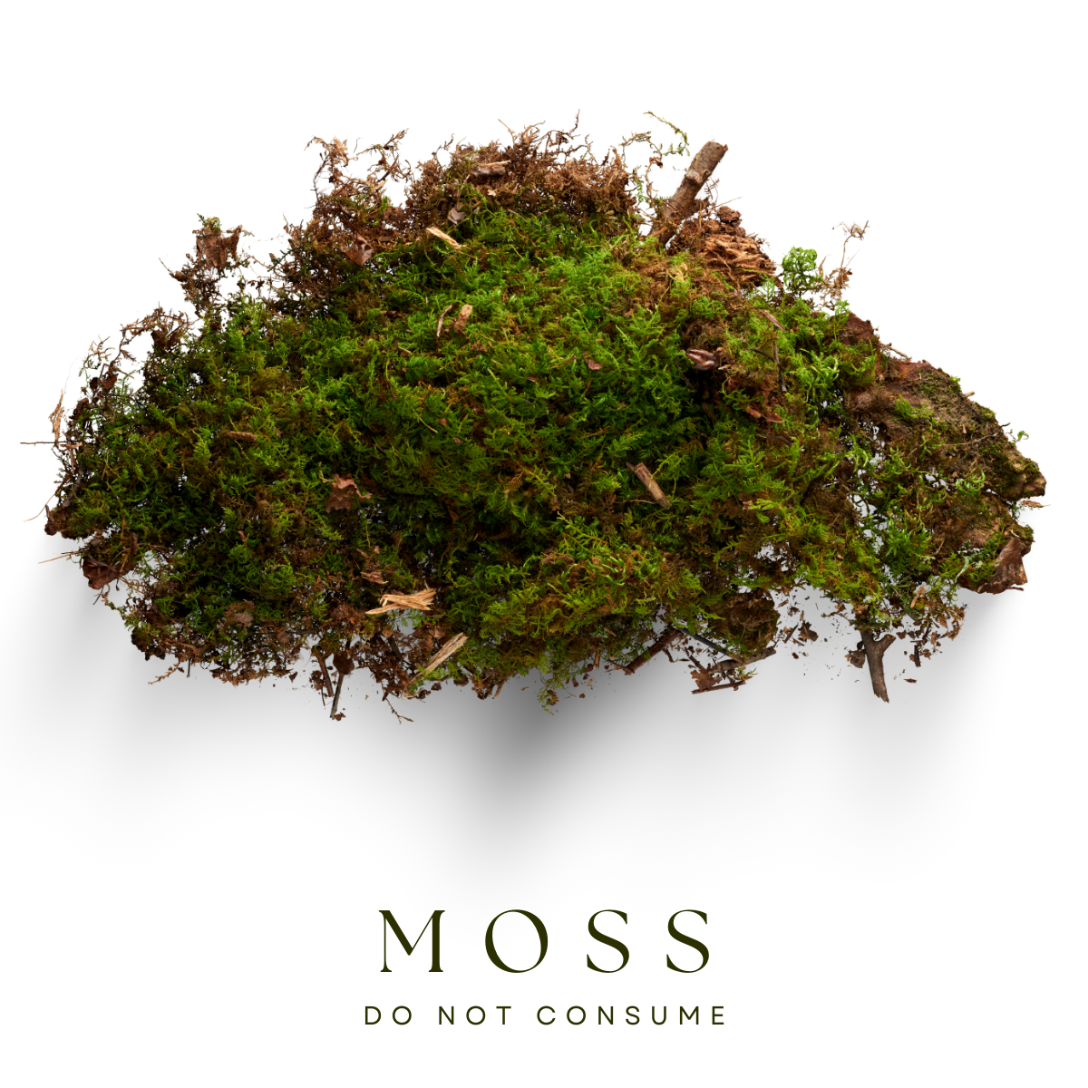 Moss