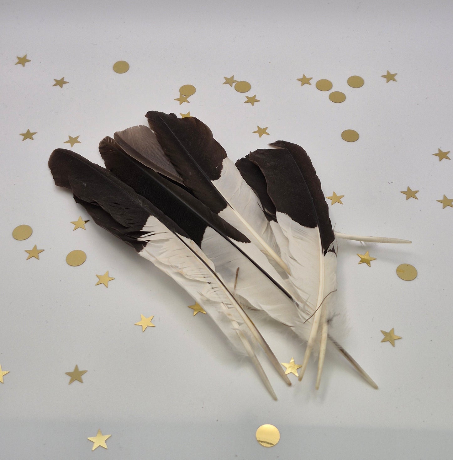 Feathers