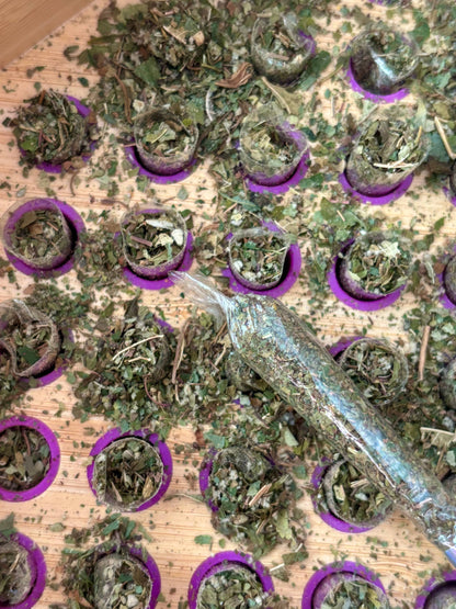 Daybreak Herbal Focus Rollies