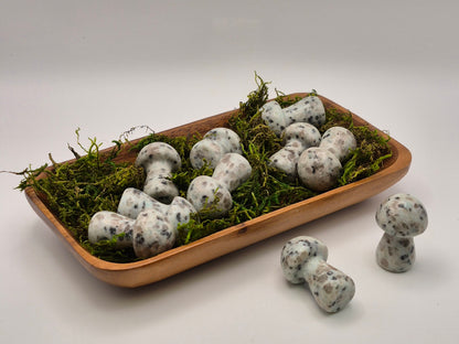 Medium Kiwi Jasper Mushroom