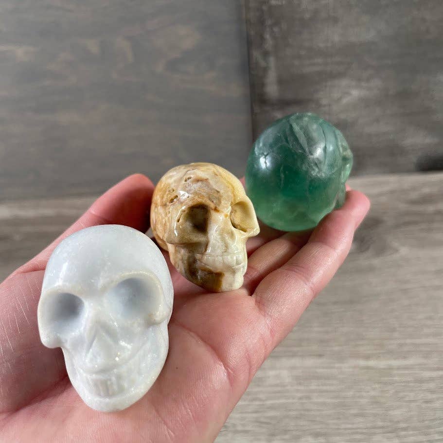 Alien Heads