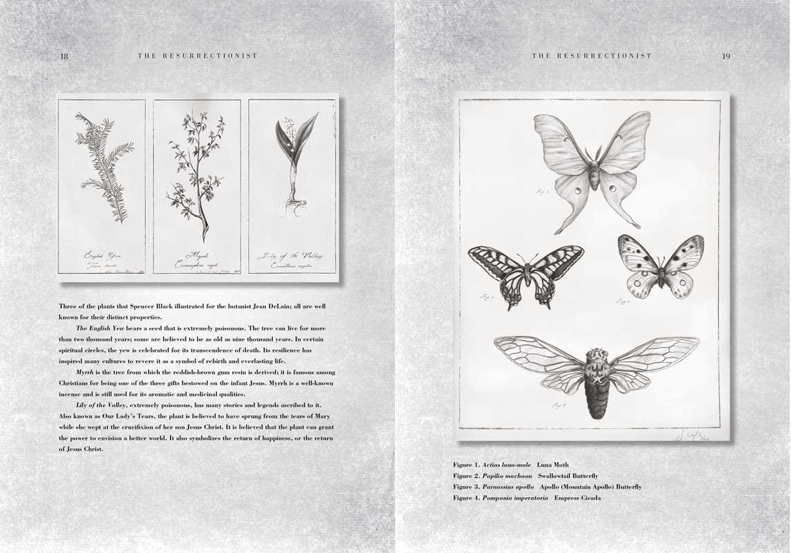 Resurrectionist by E. B.  Hudspeth