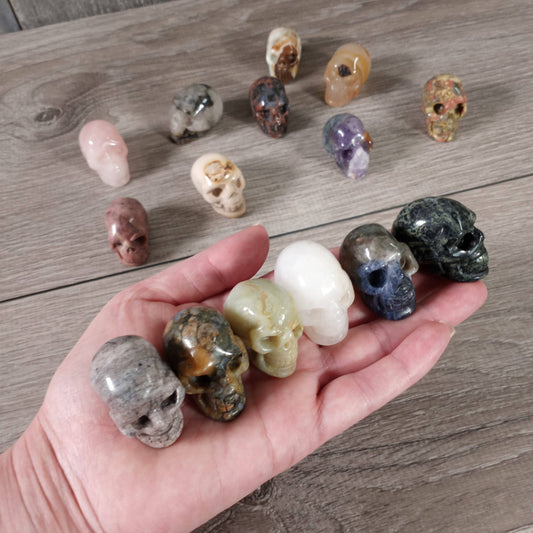 Alien Heads