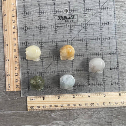 Alien Heads