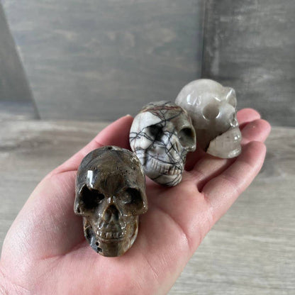 Alien Heads