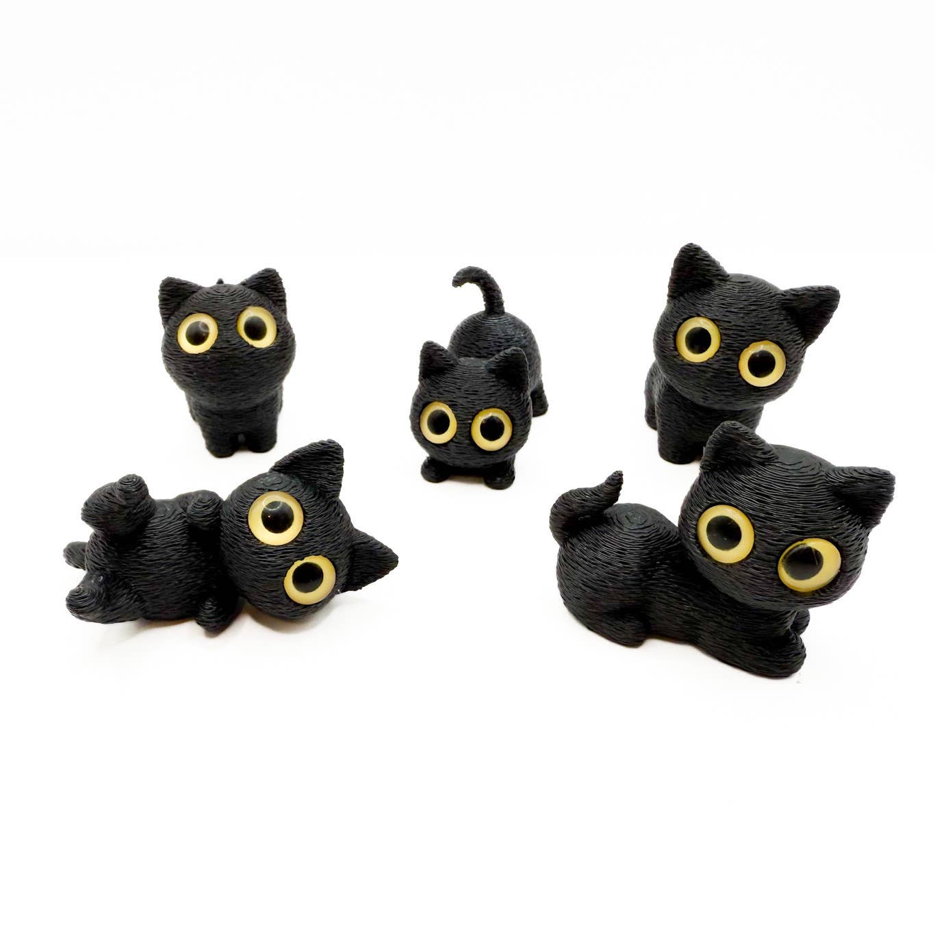 Big Eye Cats
