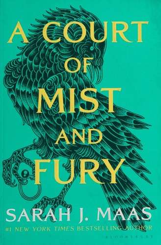Court Of Mist And Fury Adult