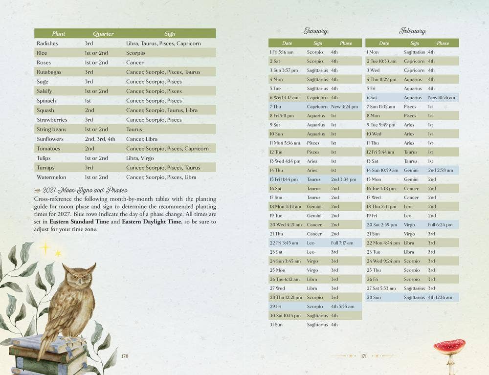 Llewellyn's 2027 Herbal Enchantment Planner: Herbal Magic