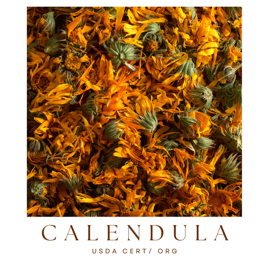 Calendula