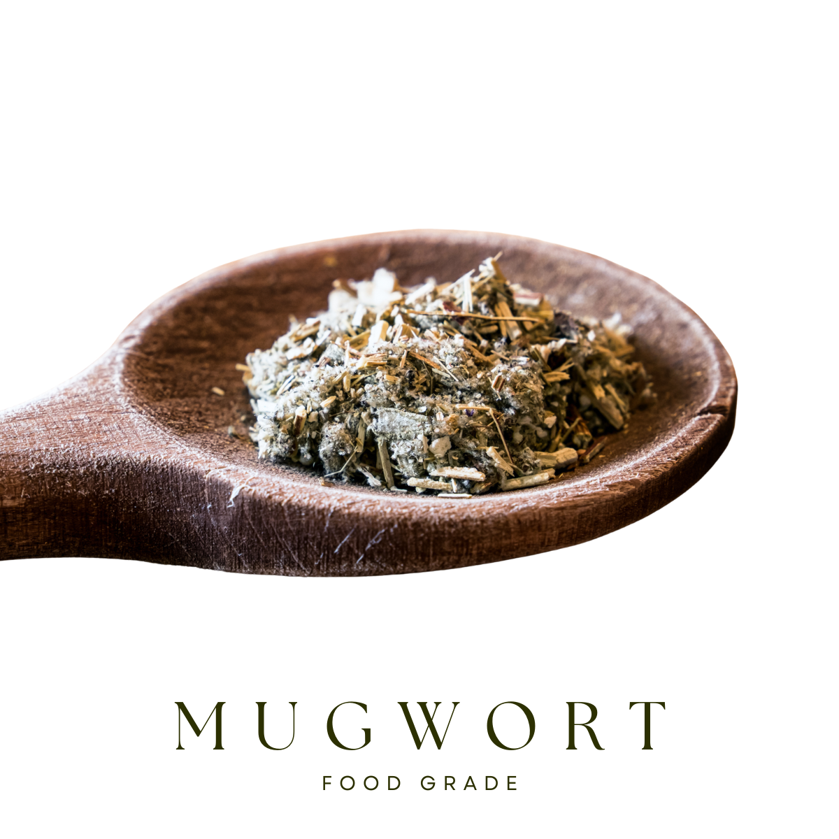 Mugwort
