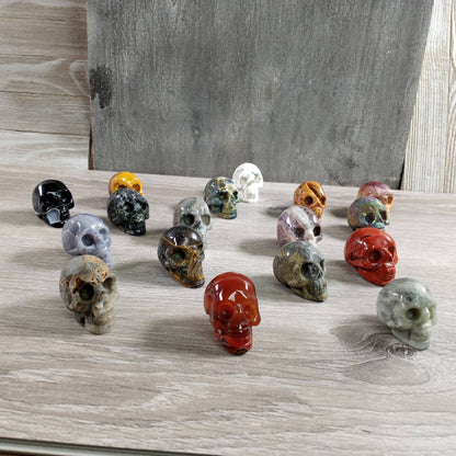Alien Heads