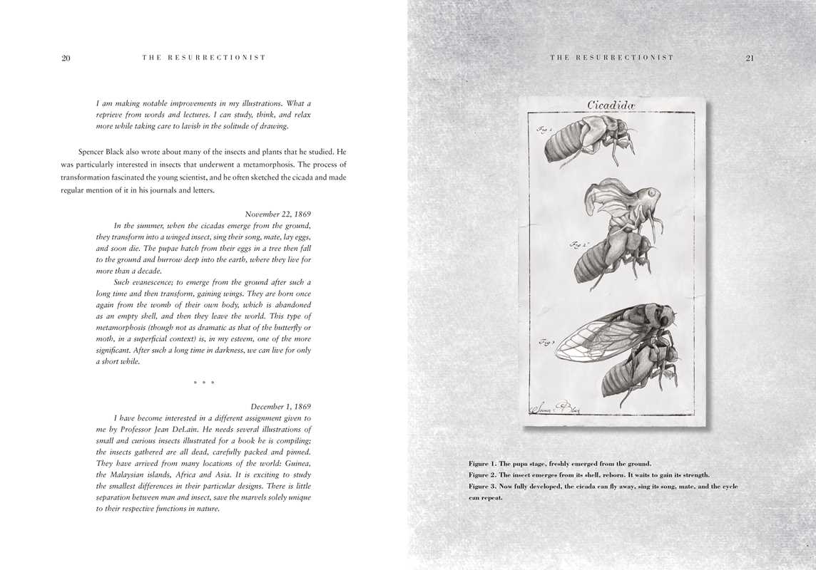 Resurrectionist by E. B.  Hudspeth