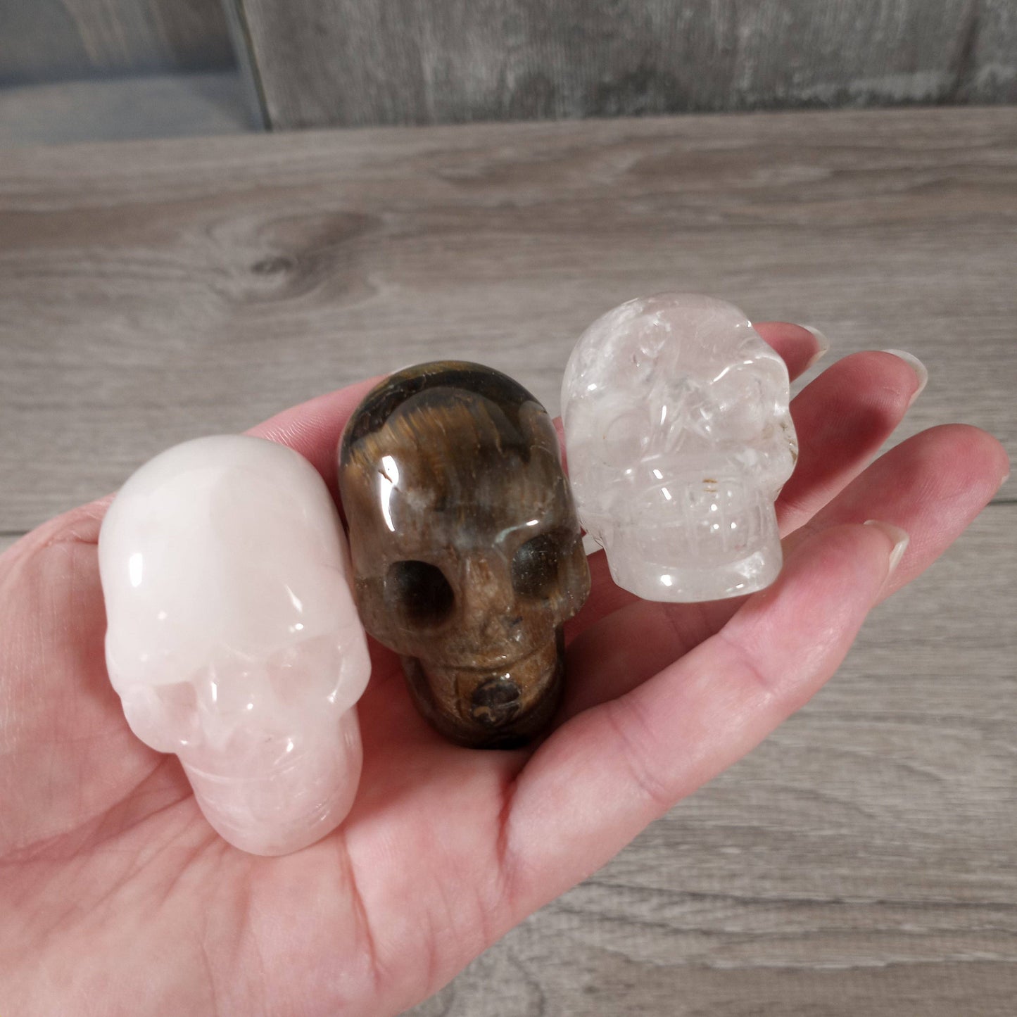 Alien Heads