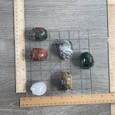 Alien Heads