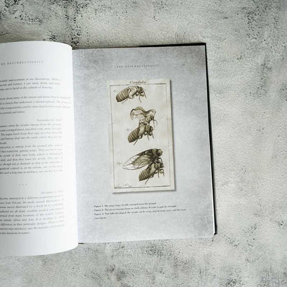 Resurrectionist by E. B.  Hudspeth