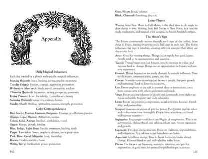 Llewellyn's 2027 Witches' Datebook: Daily Magic