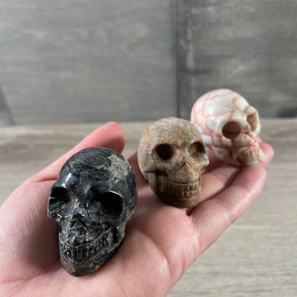 Alien Heads