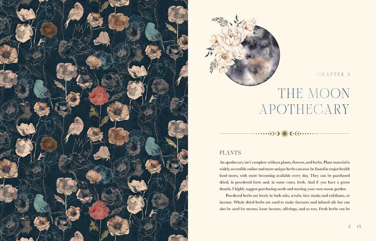 Moon Apothecary by Lorriane Anderson