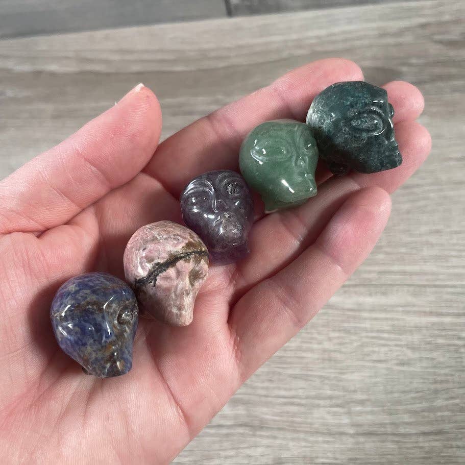Alien Heads