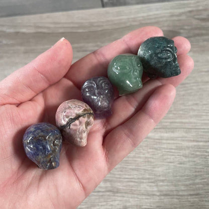 Alien Heads