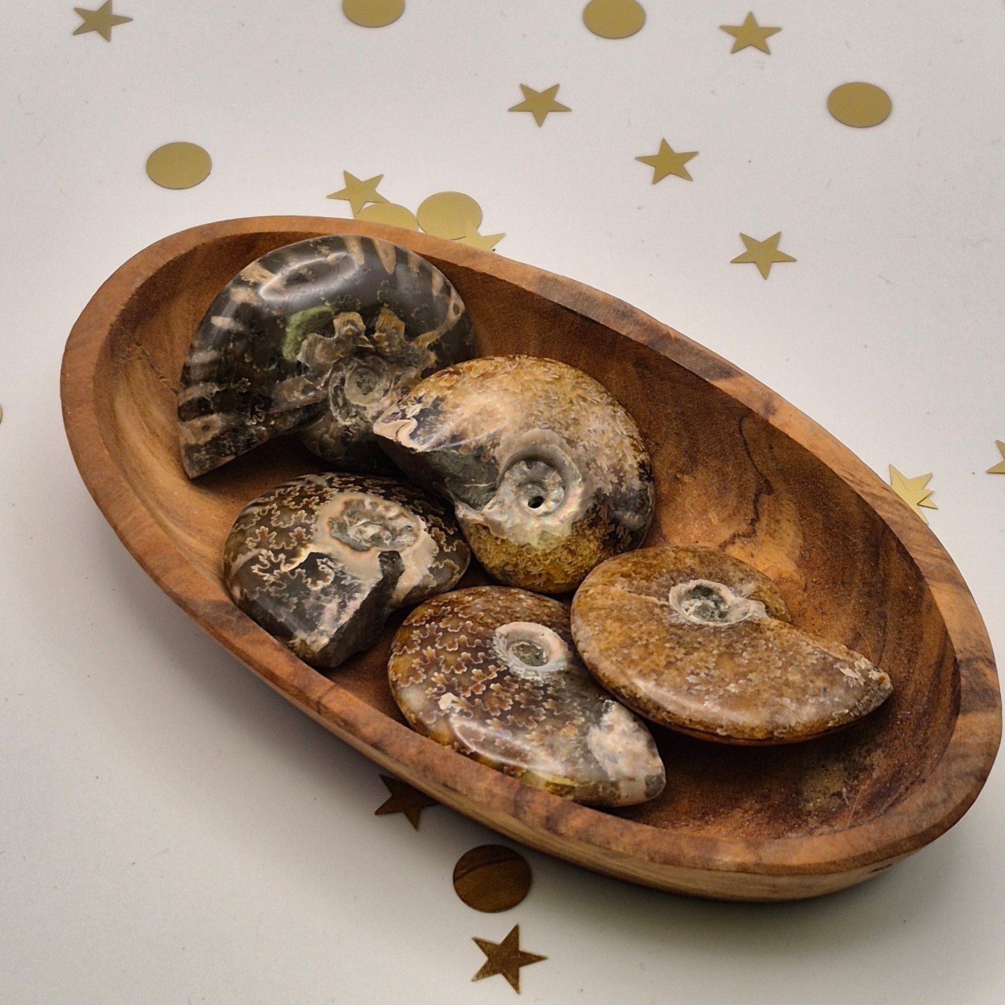 Small Flashy Ammonites