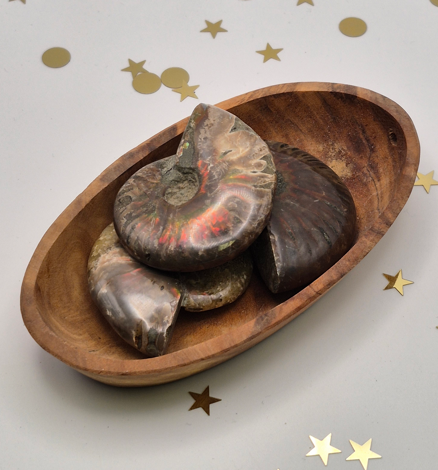 Large Flashy Ammonites