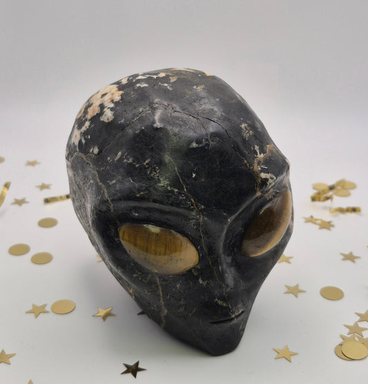 Tourmaline Alien Skull with Tiger's Eye Eyes