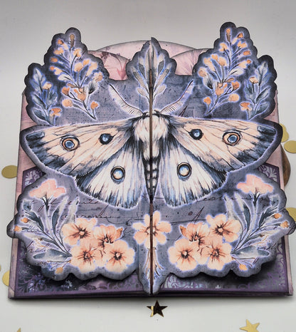 Dreamy Moth Folio